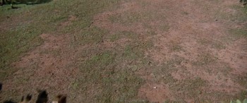 Chisum (1970) download