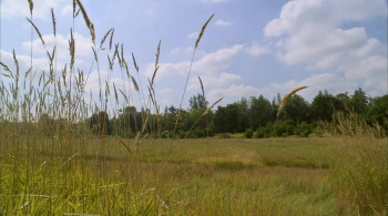 Christmas Comes Home (2020) download