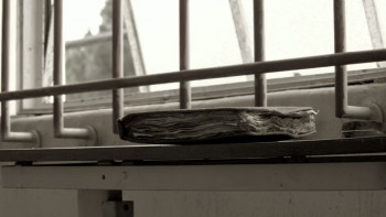 Circle (2015) download