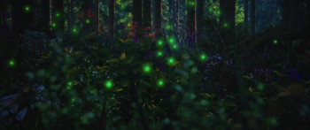 Citizen of a Kind (2024) download