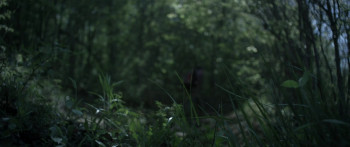 Claire in Motion (2016) download