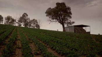 Cliffy (2013) download