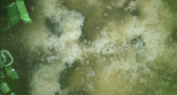 Closing Time (2018) download