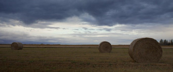 Clown in a Cornfield (2025) download
