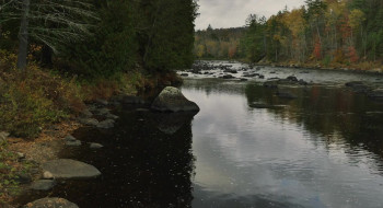 Come Home (2023) download