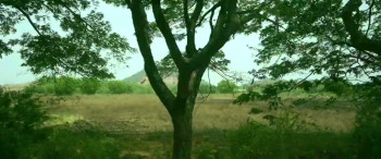 Communist Girlfriend Capitalist Boyfriend (2022) download