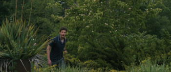 Companion (2025) download