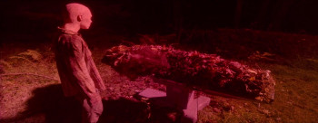 Consumed (2024) download