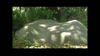 Contact Lens (2024) download