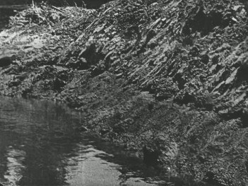 Convict 13 (1920) download