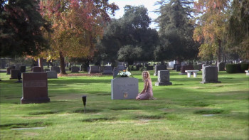 Cop Dog (2008) download