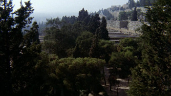 Cousin Angelica (1974) download