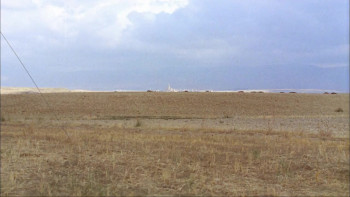 Cousin Angelica (1974) download