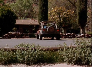 Coyote Summer (1996) download