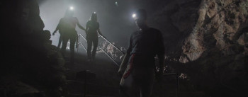 Crocodile Swarm (2023) download