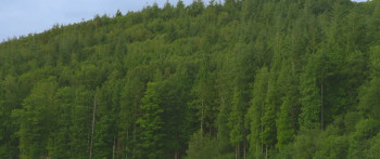 Cruel Summer (2016) download