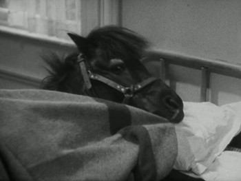 Curly Top (1935) download