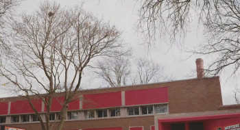 Daddy I Love Him (2023) download