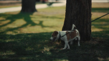 Darkest Miriam (2024) download