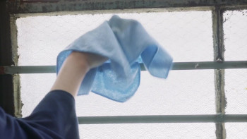 Darla in Space (2024) download