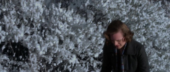 Darling Companion (2012) download