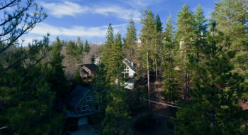 Dashing Through the Snow (2023) download