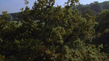 David Starkey's Magna Carta (2015) download