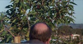 Day of the Panther (1988) download