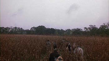 Dead Birds (2004) download