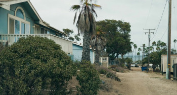 Dead Sea (2024) download