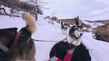 Deadstream (2022) download