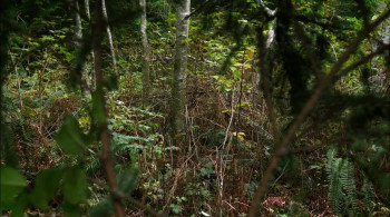 Death Do Us Part (2014) download