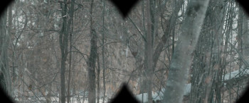 Death Hunt (2022) download