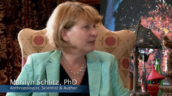 Death Makes Life Possible (2013) download