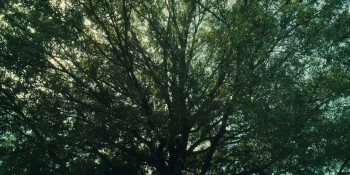 Death Name (2026) download