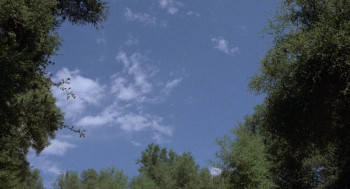 Deathsport (1978) download