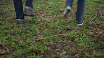 Decoding Turner (2023) download