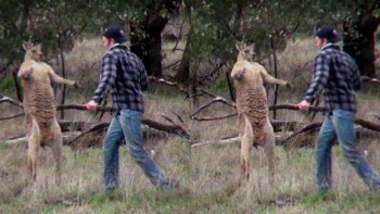 Deep in the Heart of Texas: Dave Chappelle Live at Austin City Limits (2017) download