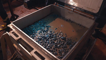 Deep Rising (2023) download