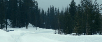 Delivery Run (2024) download