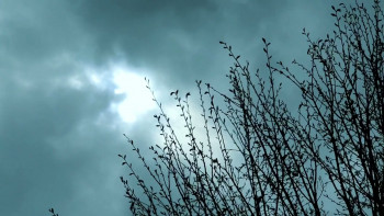 Delusion (2016) download