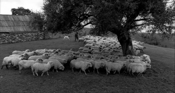 Dem Himmel ganz nah (2010) download