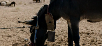 Kõrb (2021) download