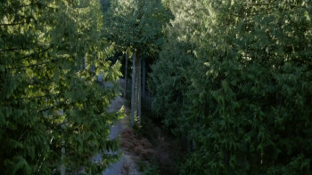 Desire: A Temptation Story (2025) download