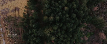 Despair (2017) download