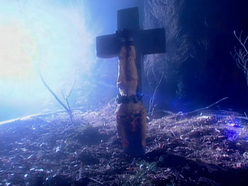 Despiser (2001) download