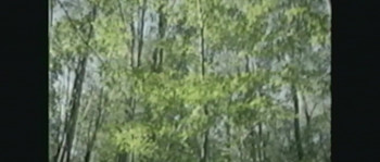 Destroy This Tape (2025) download