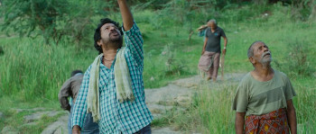 Dhandoraa (2025) download