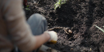 Diabolic (2025) download