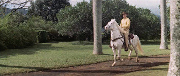 Diamond Head (1962) download